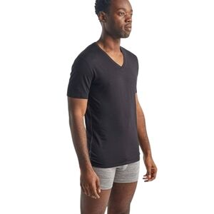 Icebreaker Anatomica Short Sleeve V-Neck T-Shirt